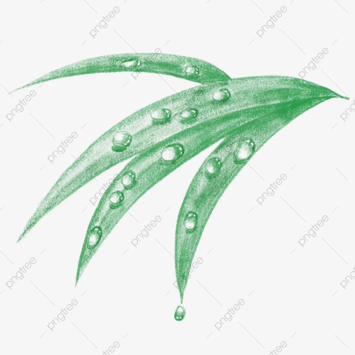 Glorious dew coloring page