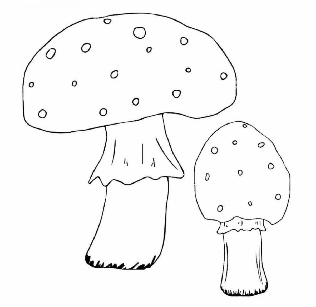 Coloring bright toadstool