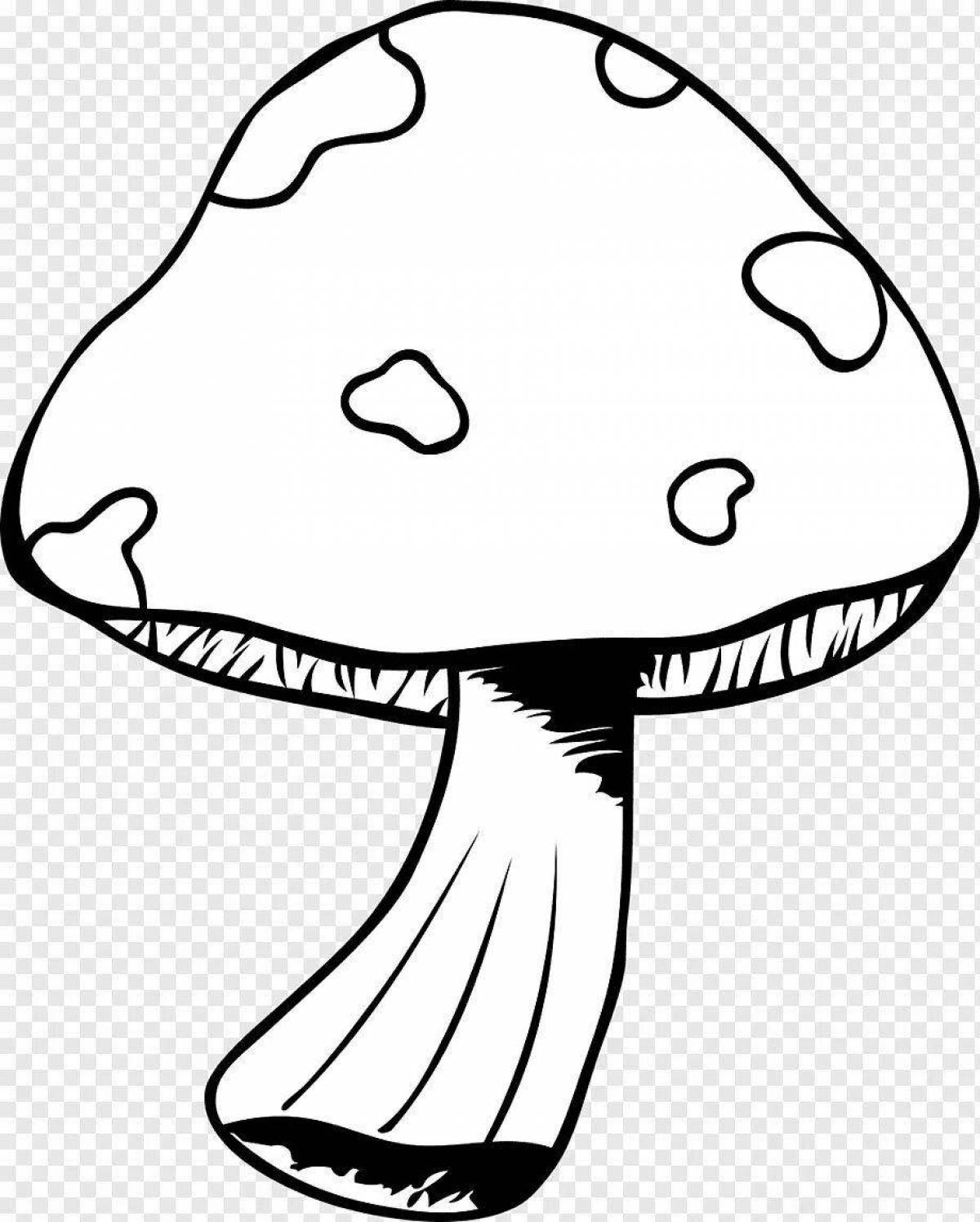 Exquisite toadstool coloring book