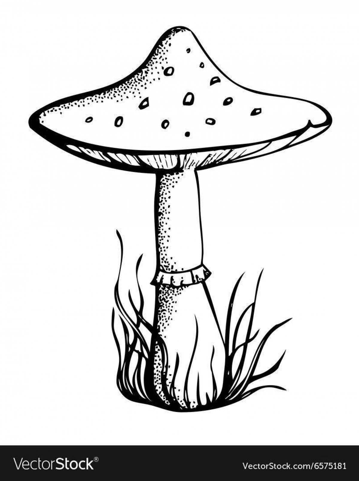 Coloring page adorable toadstool