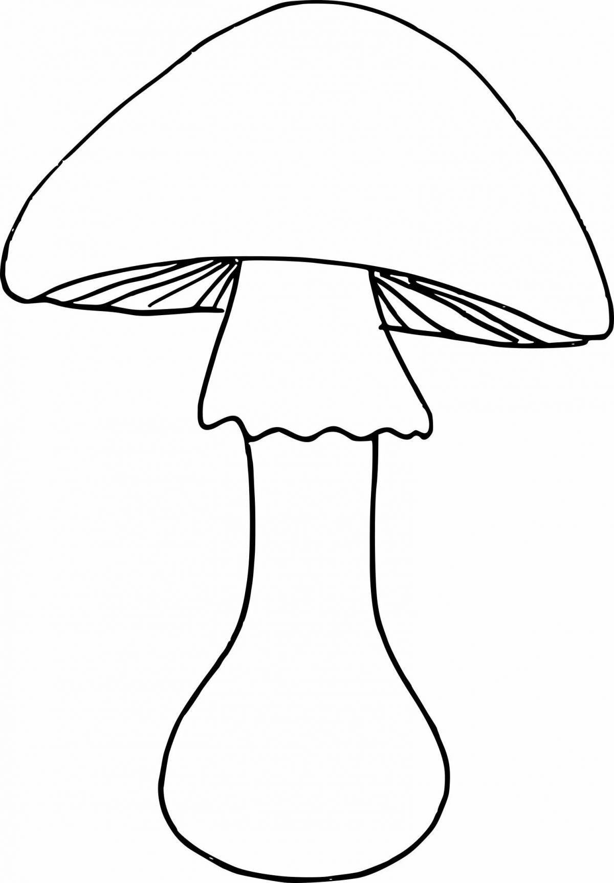 Fancy toadstool coloring book