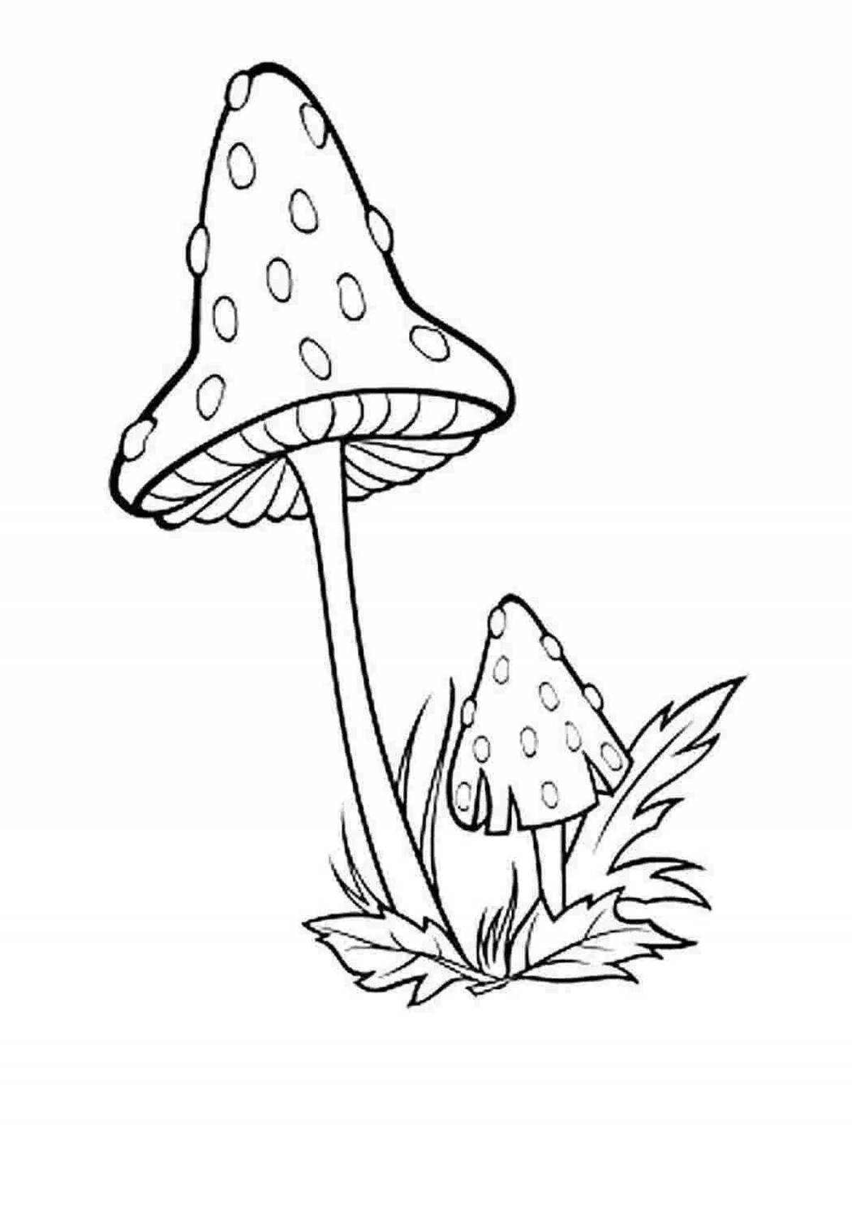 Adorable toadstool coloring book