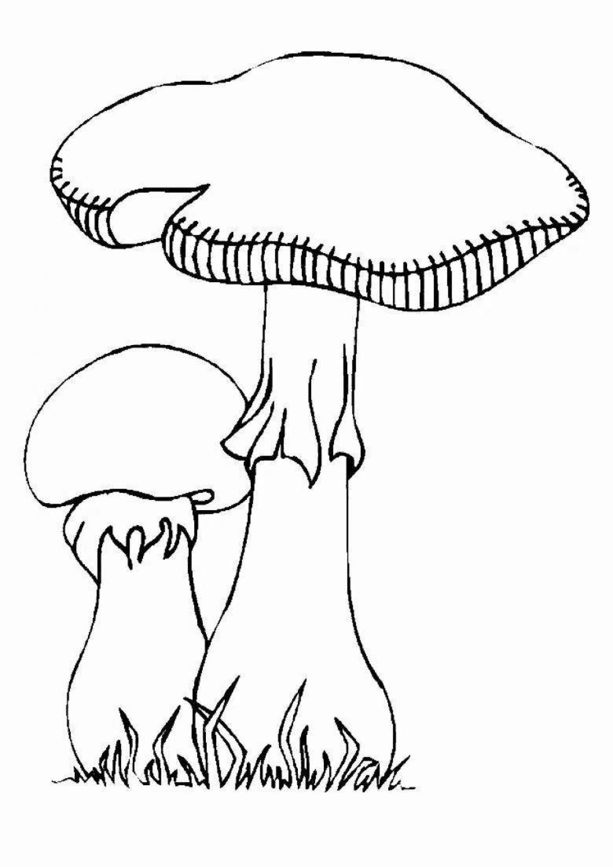 Attractive toadstool coloring