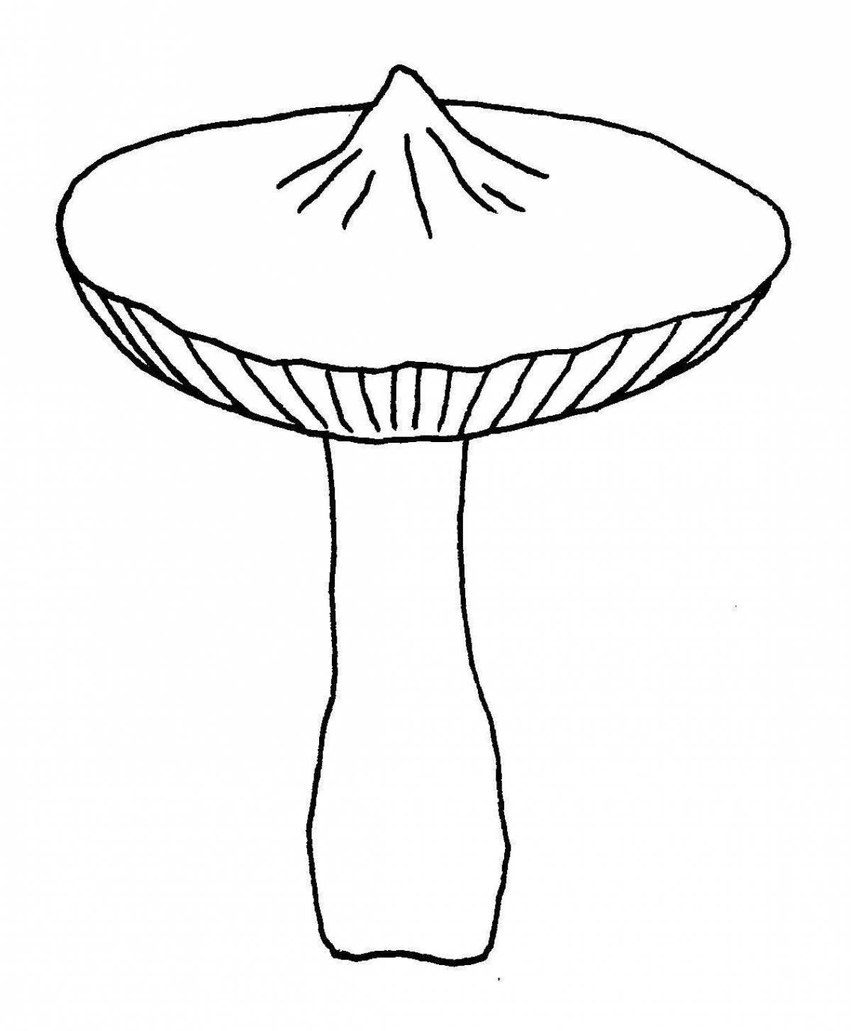 Intriguing toadstool coloring page