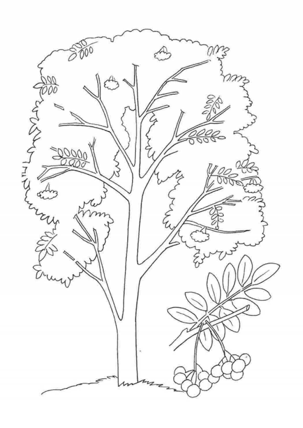Animated pok coloring page