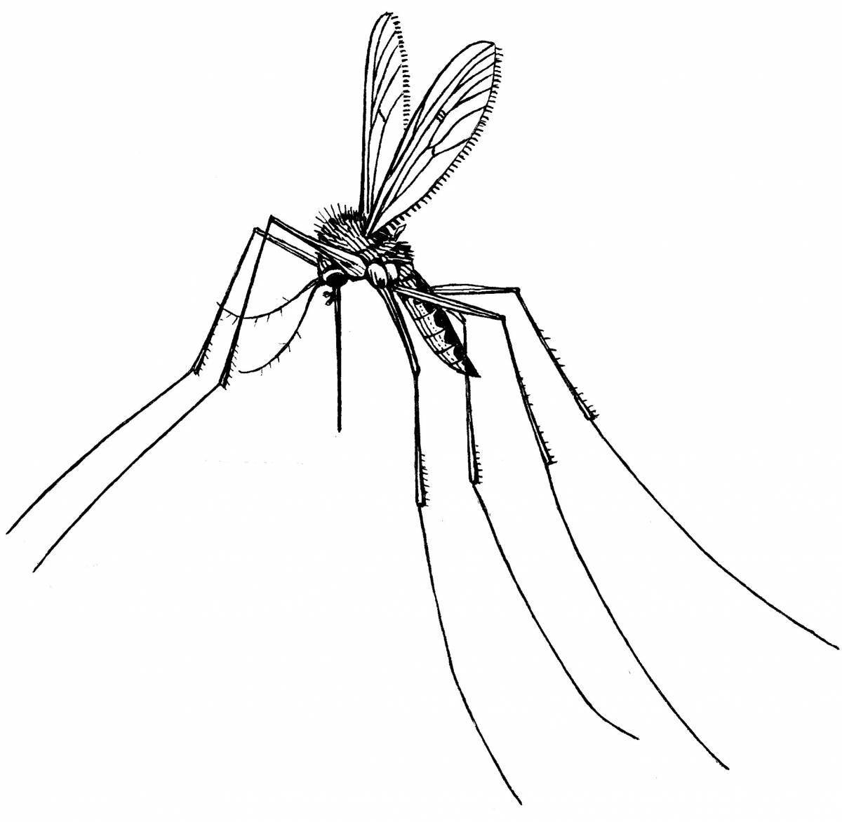 Coloring book witty mosquito