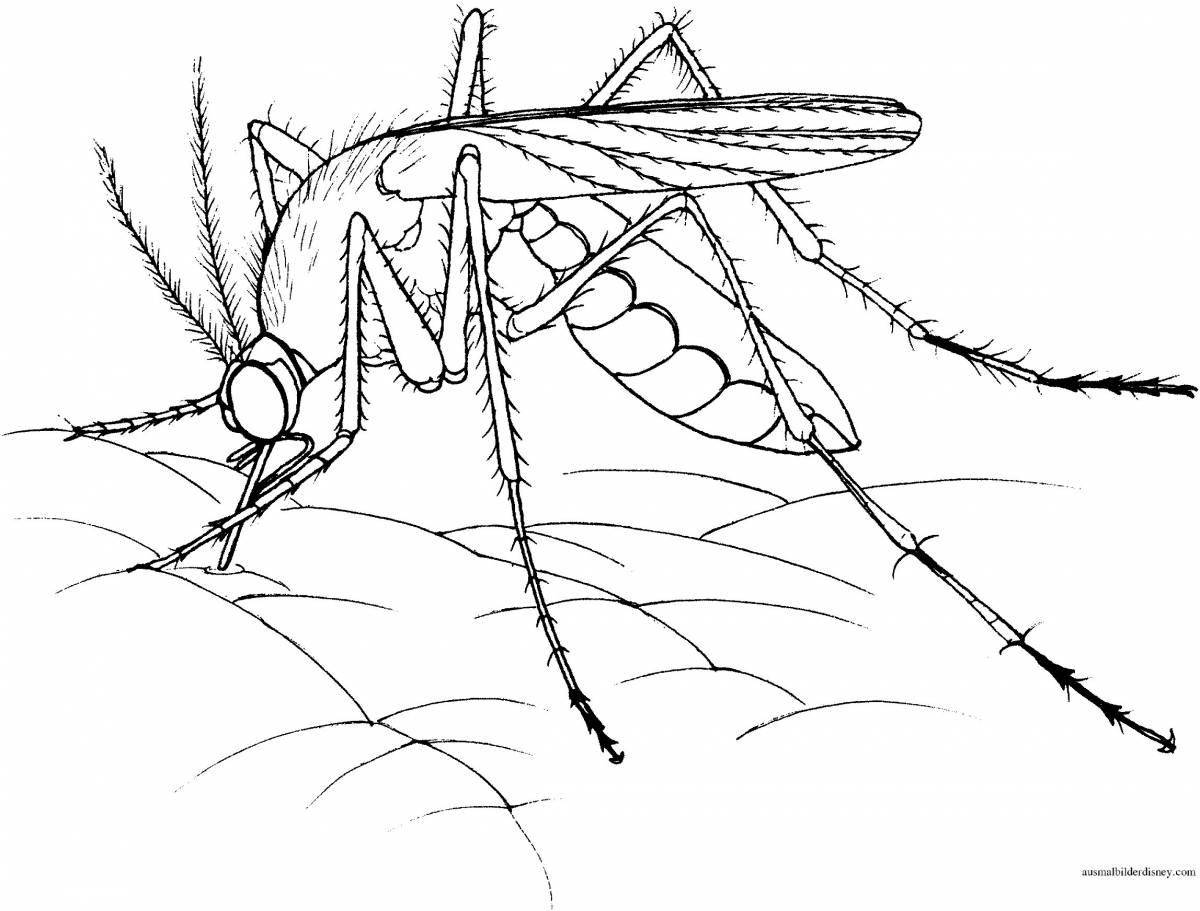 Fashion mosquito coloring page
