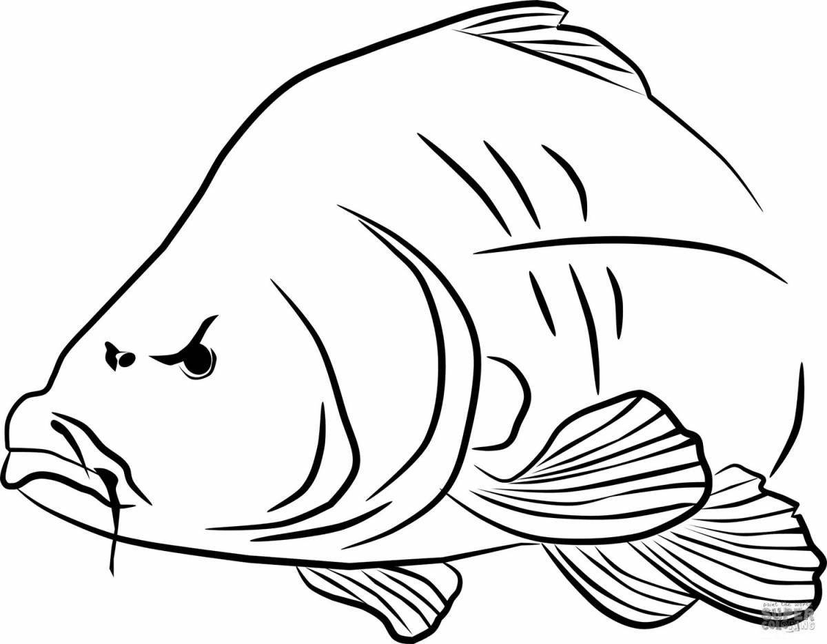 Playful bream coloring page