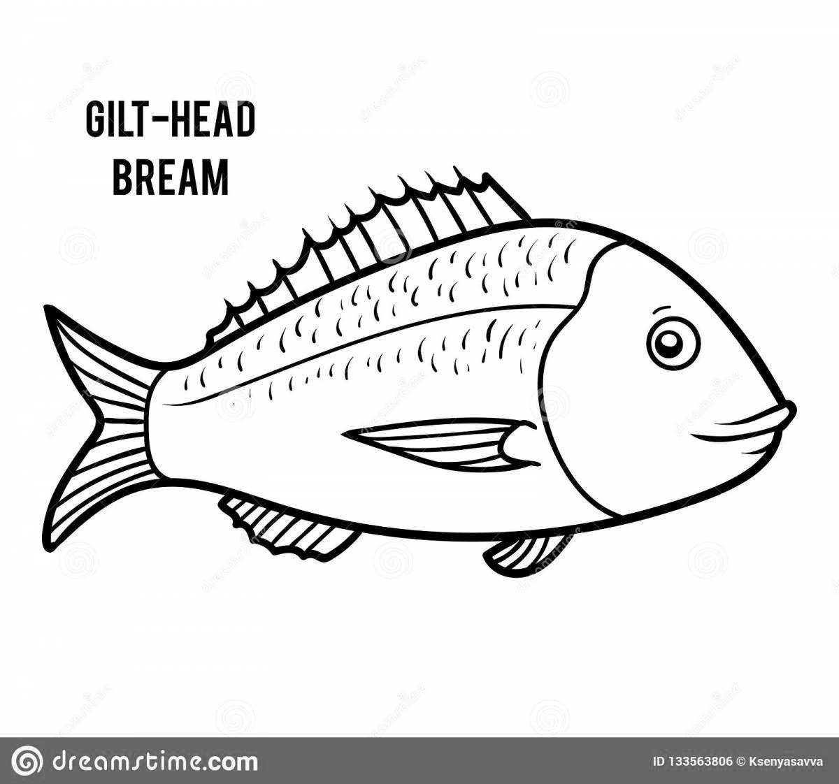 Fat-bream coloring page
