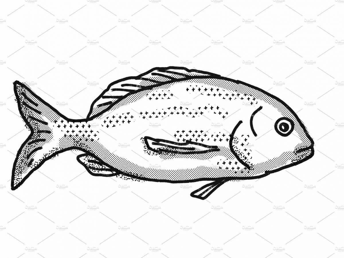 Coloring page gentle bream