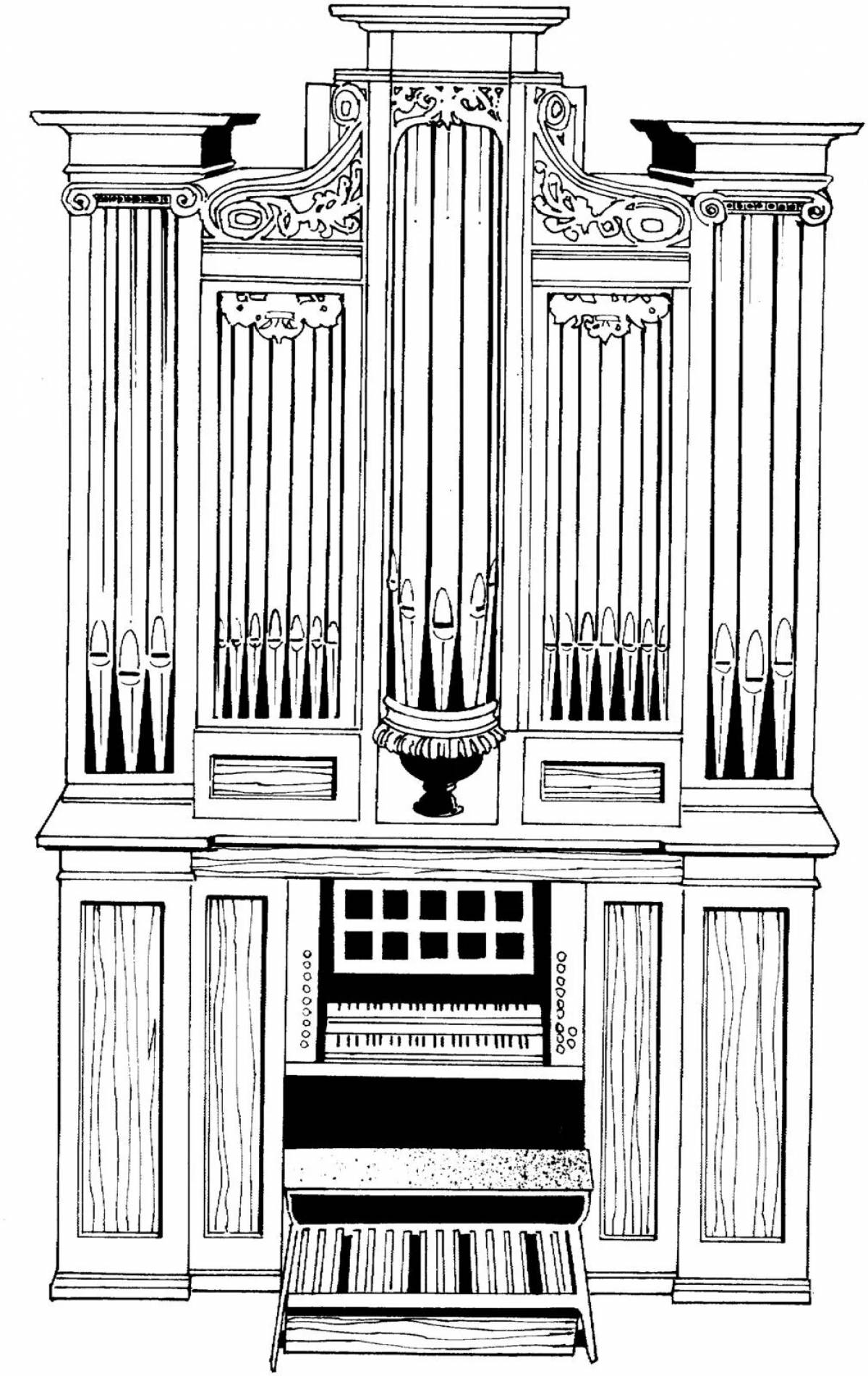 Орган раскраска для детей