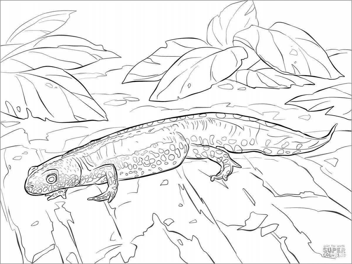 Coloring book playful salamander