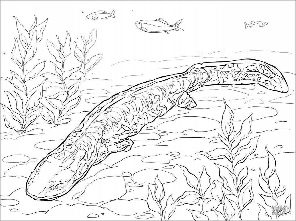 Charming salamander coloring page