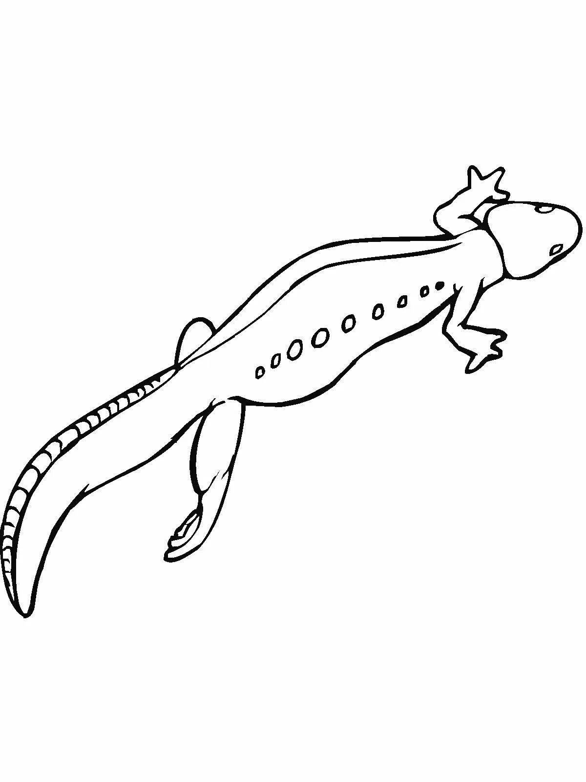 Coloring page magic salamander