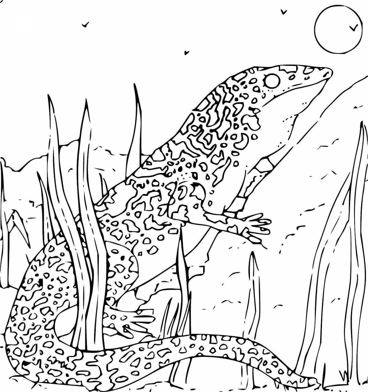 Gorgeous salamander coloring page