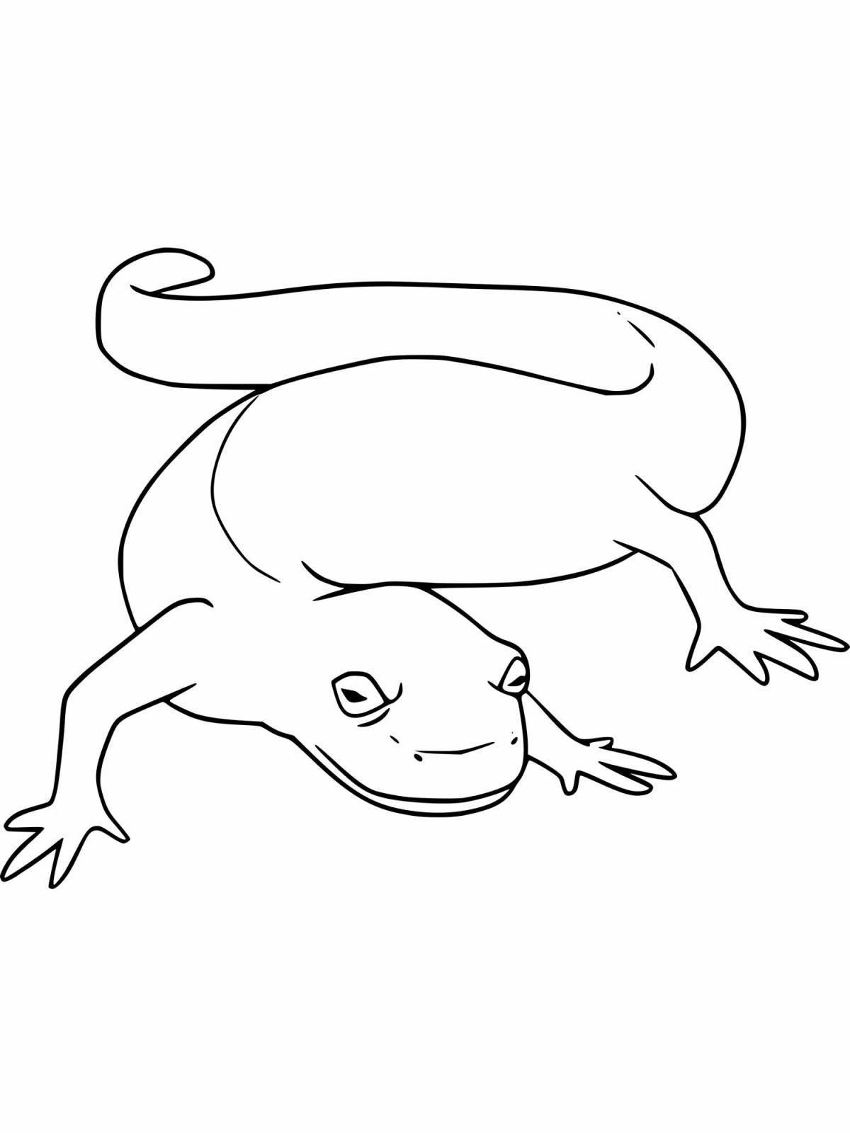 Coloring page graceful salamander