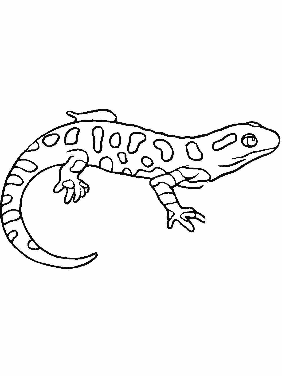 Charming salamander coloring book