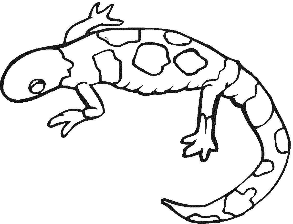 Cute salamander coloring book