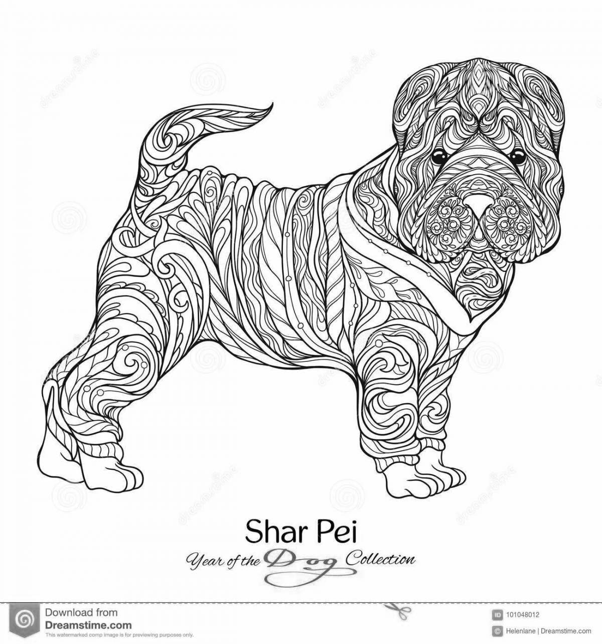 Adorable Shar Pei coloring book