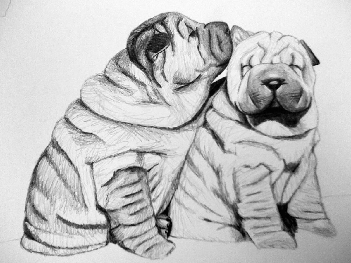 Charming sharpei coloring book