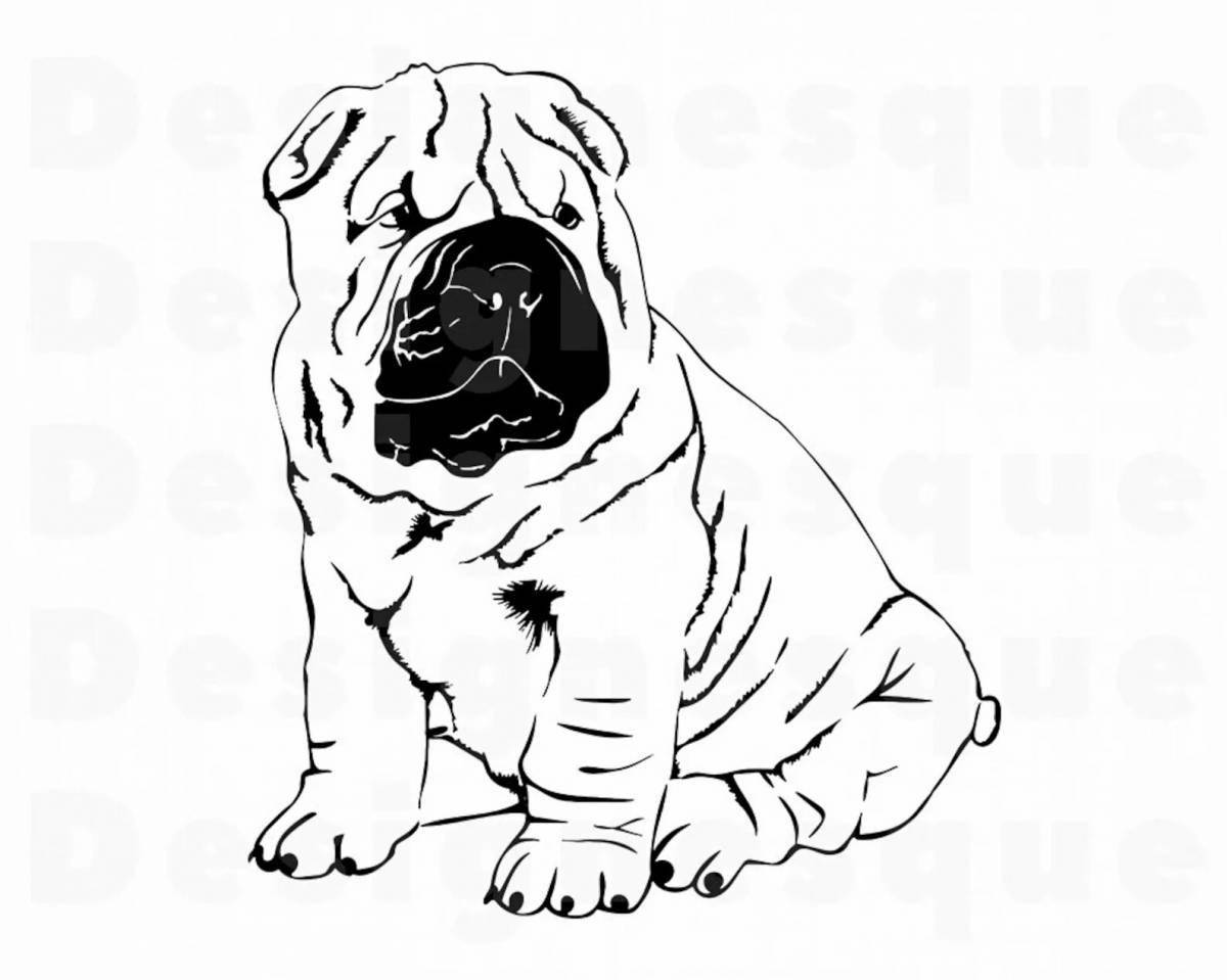 A funny sharpei coloring book