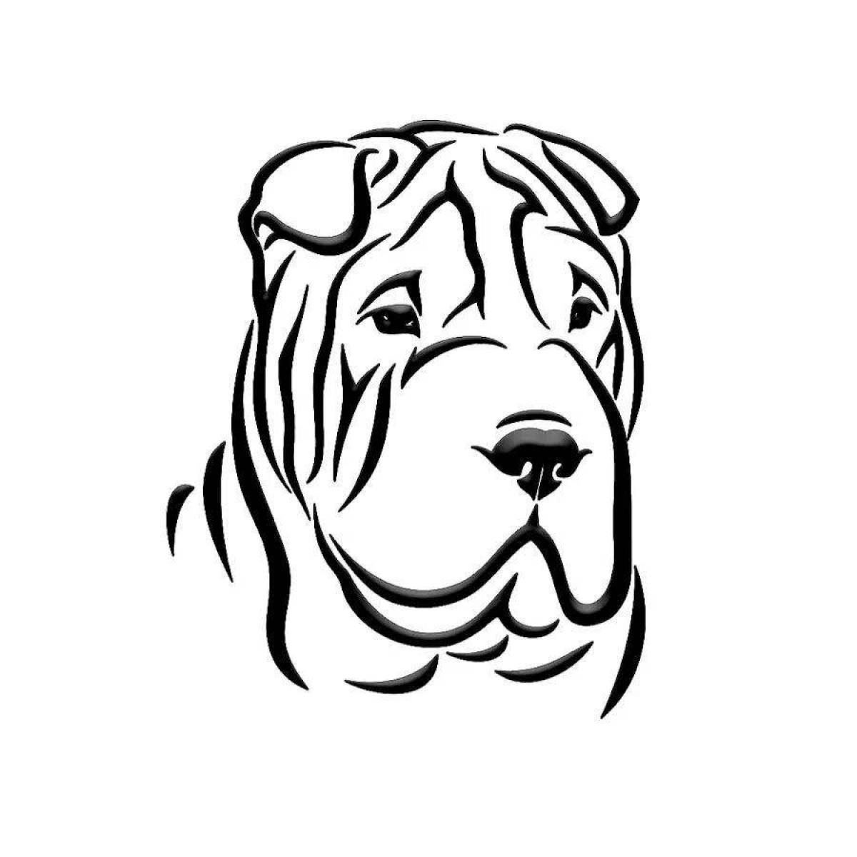 Coloring witty shar pei