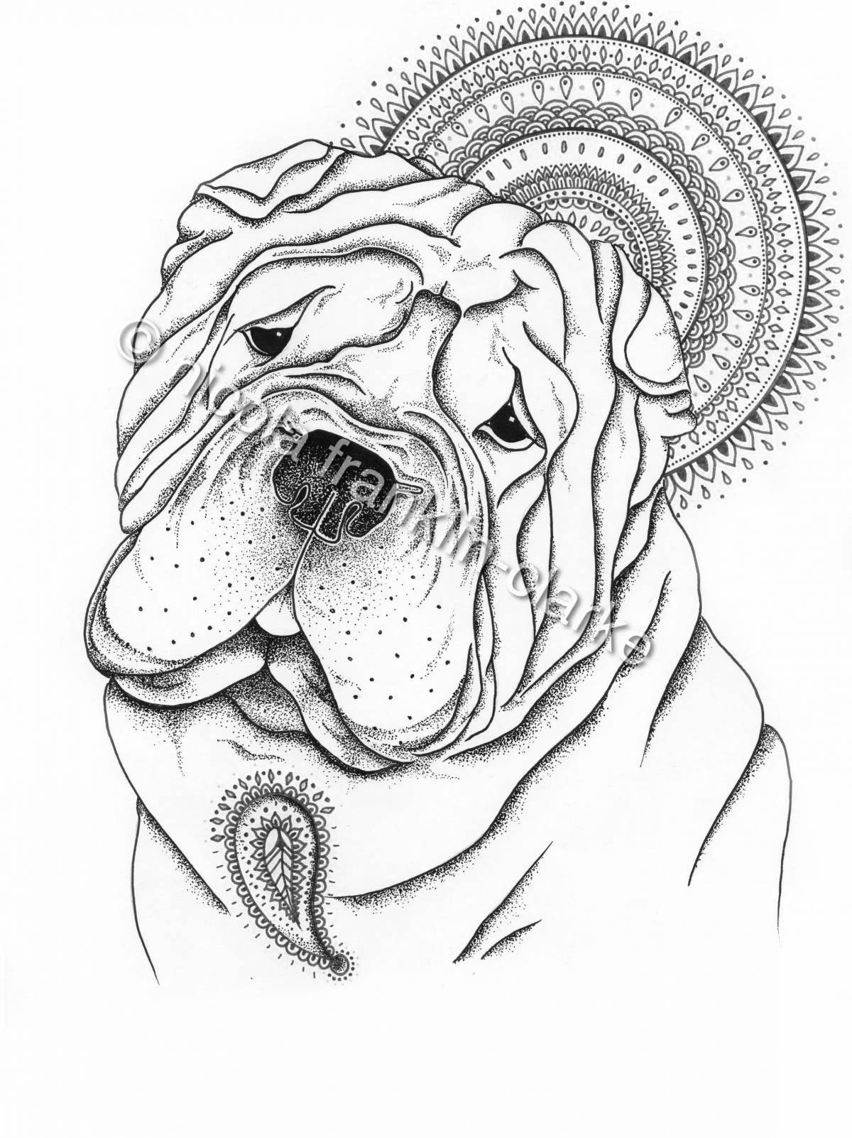 Shar pei coloring while playing