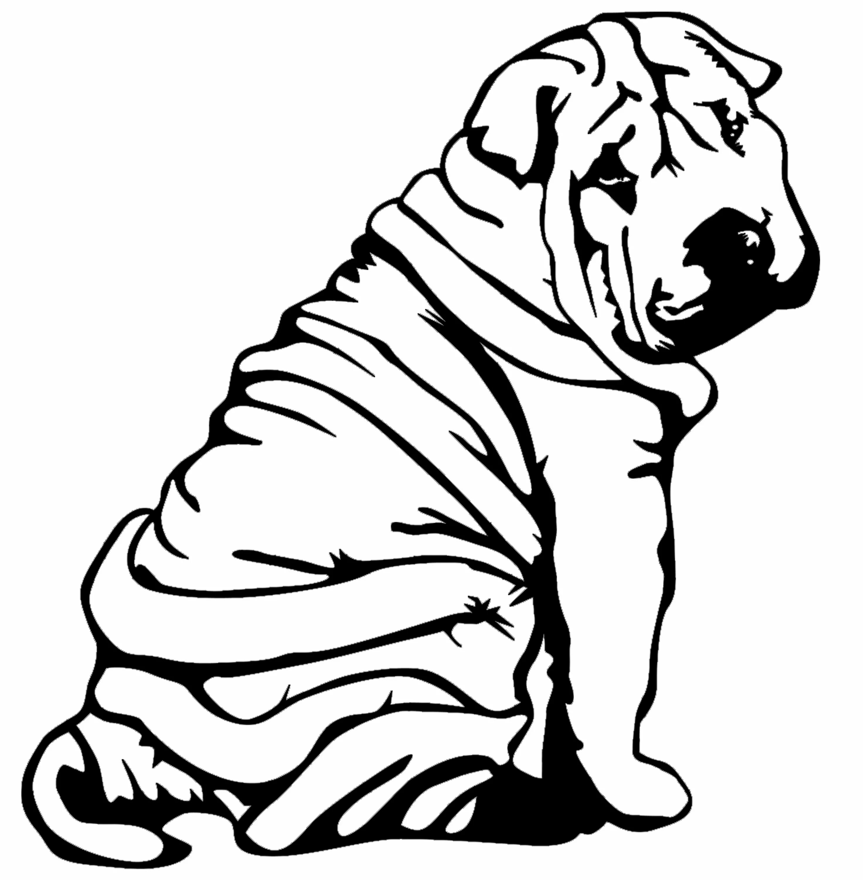 Chipper Shar Pei coloring page