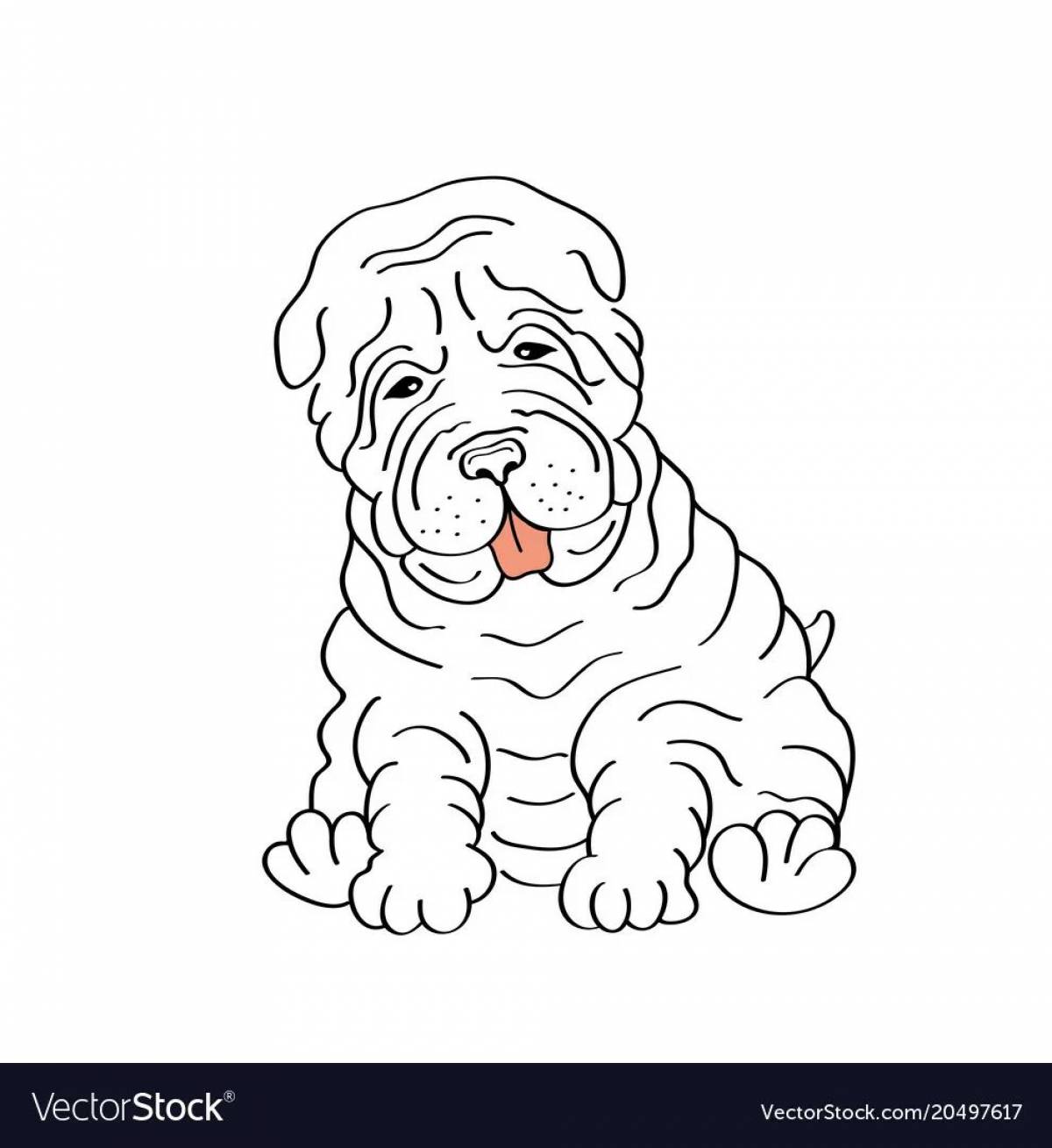 Coloring funny shar pei
