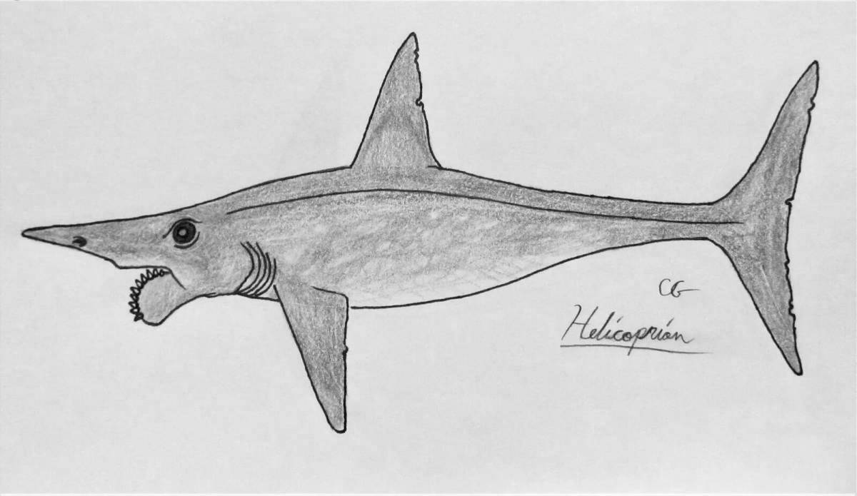 Colorful helicoprion coloring page