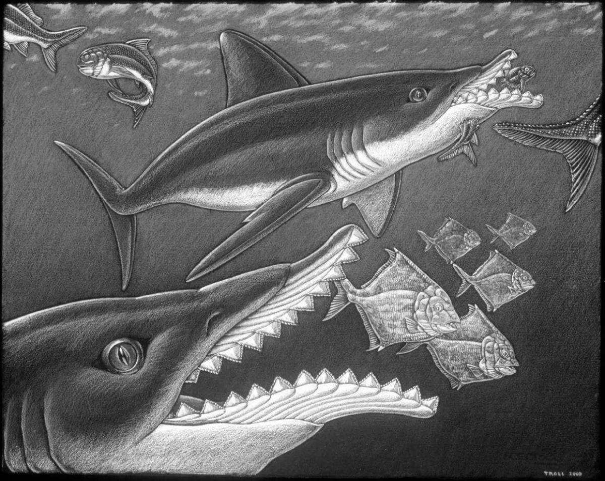 Sweet helicoprion coloring page