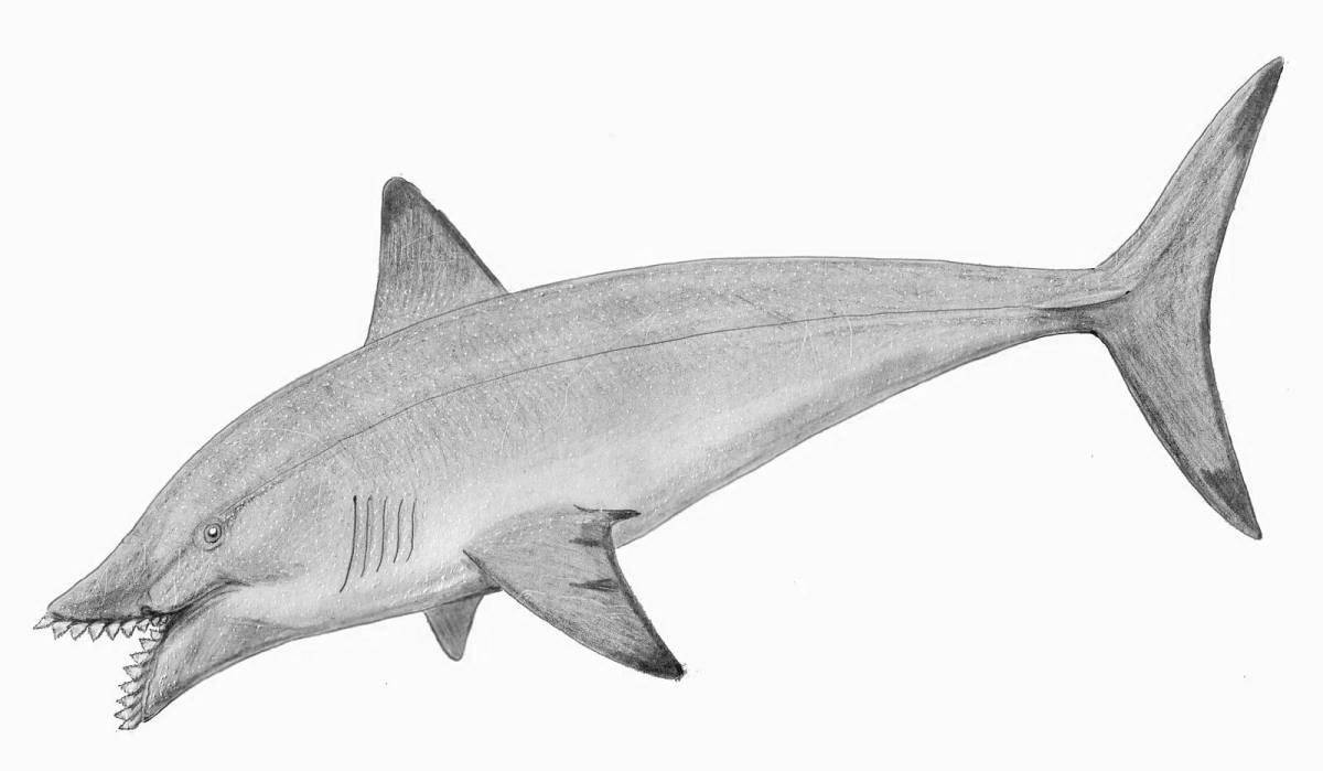 Delightful helicoprion coloring