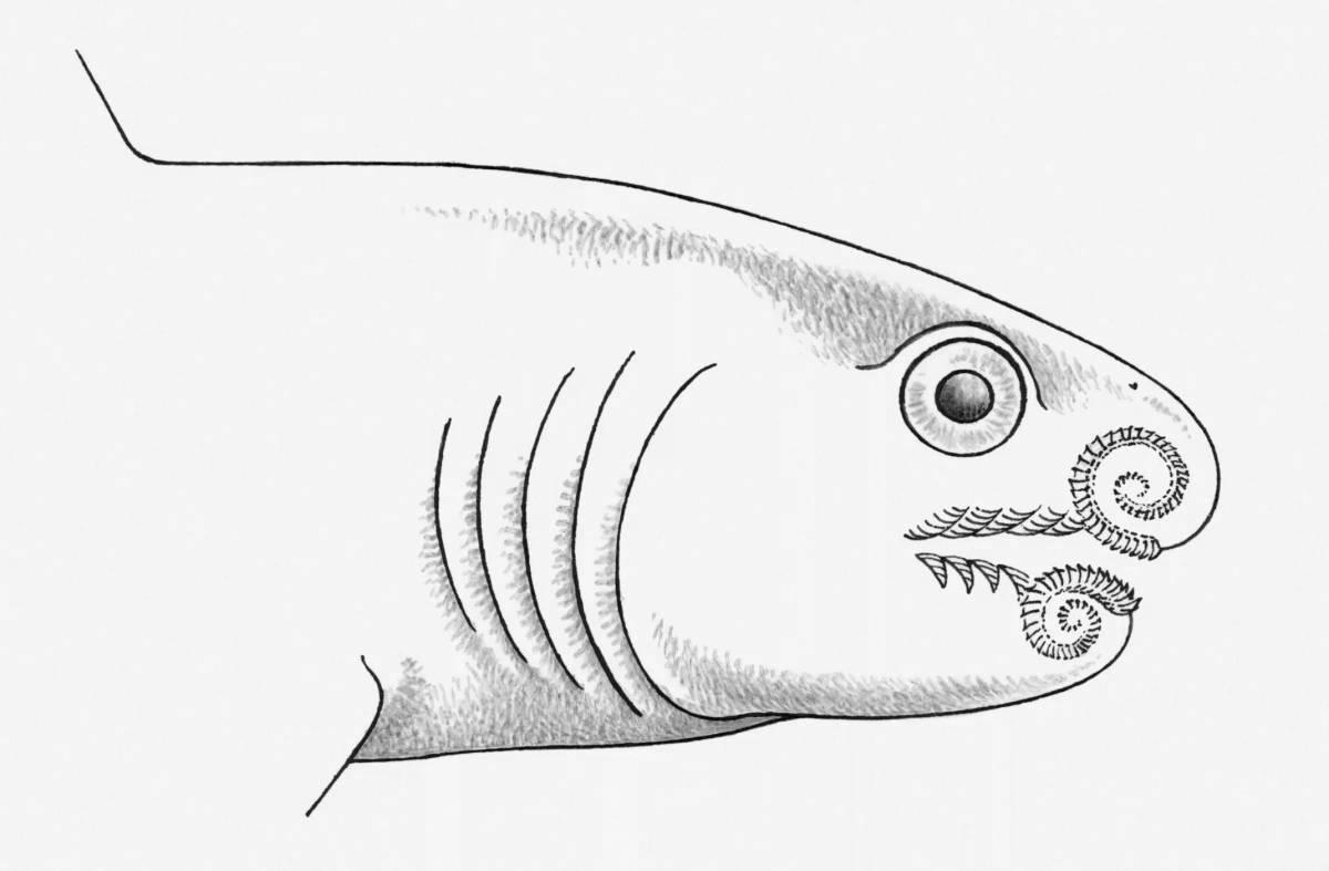 Coloring page funny helicoprion