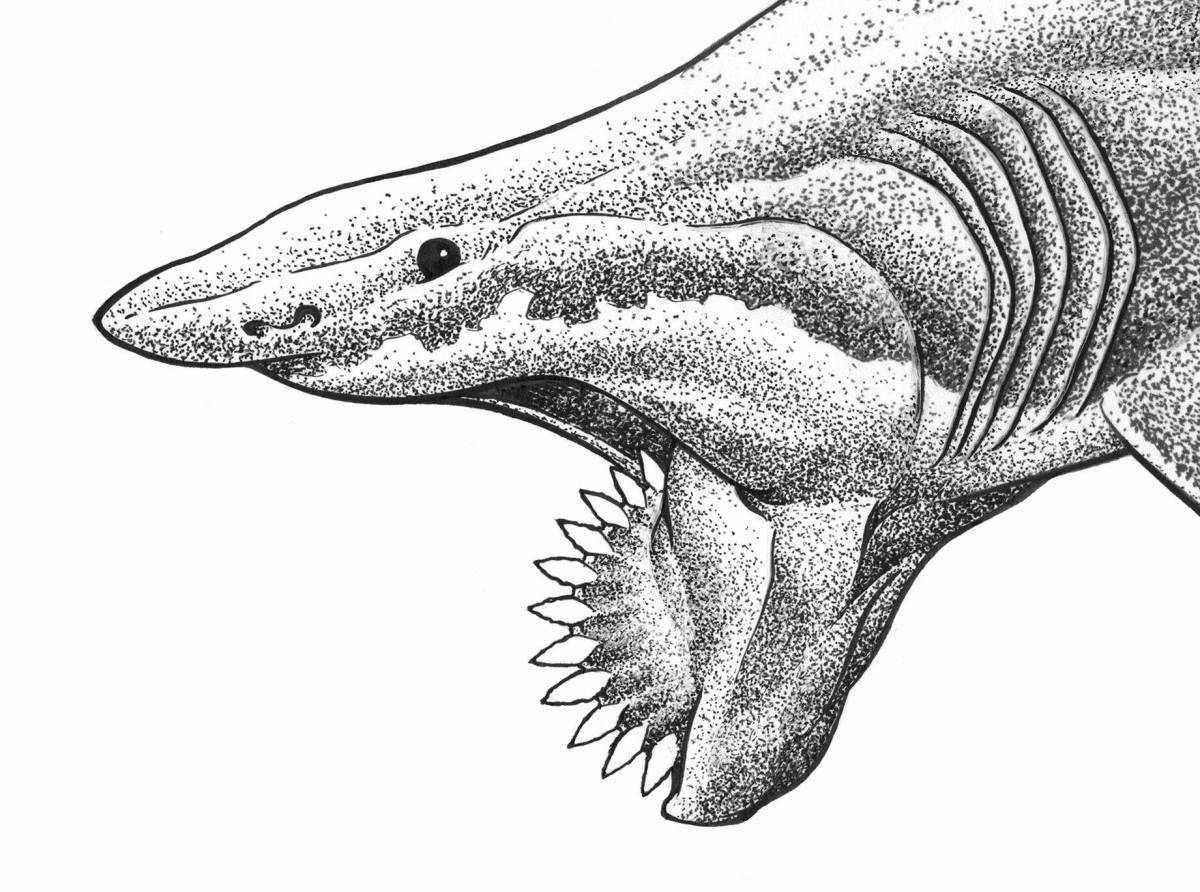 Fancy coloring of the helicoprion