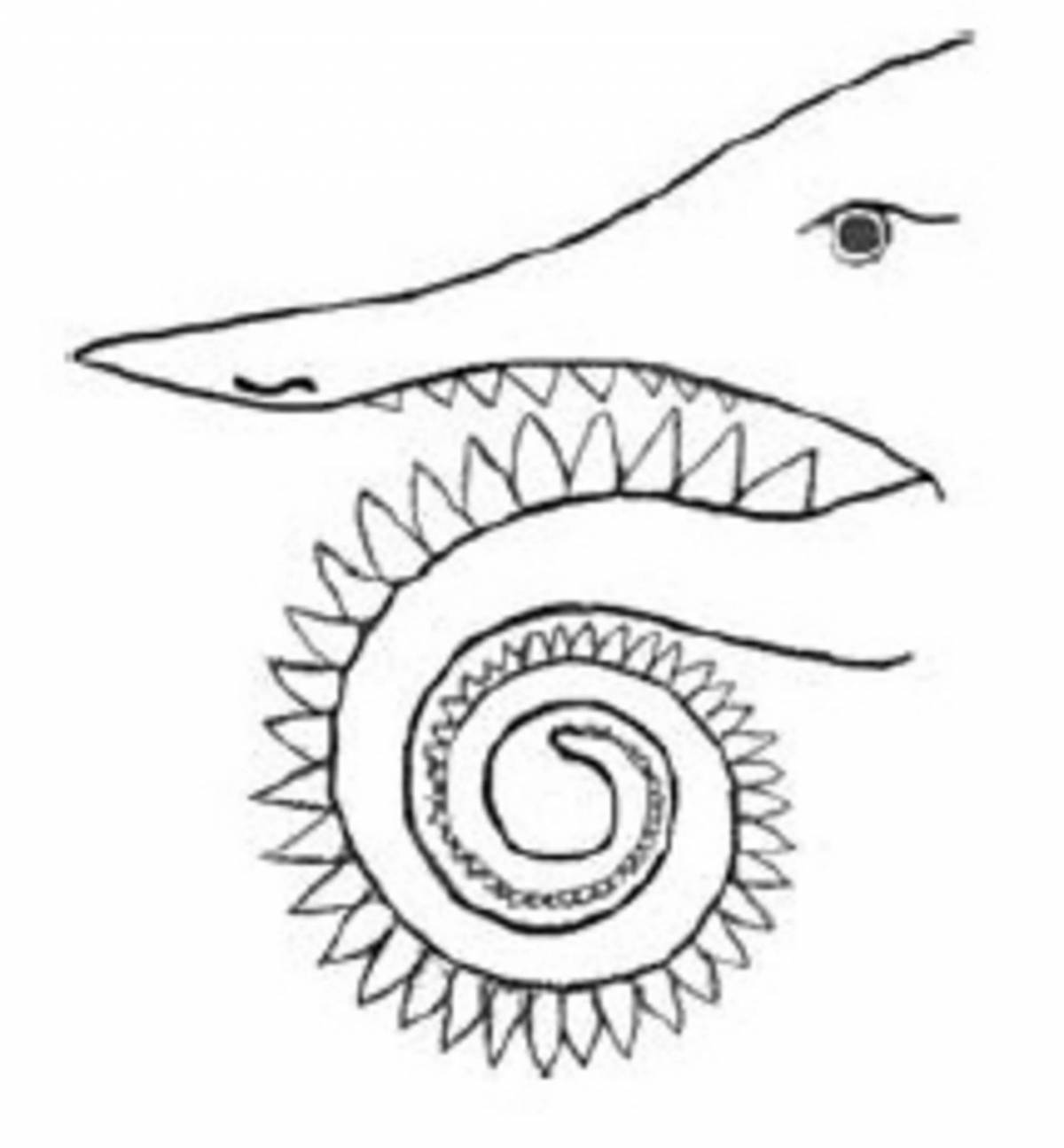 Zany helicoprion coloring book