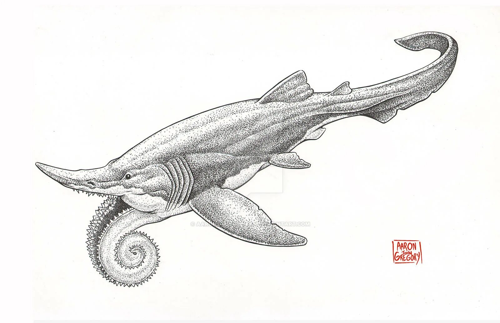 Coloring live helicoprion