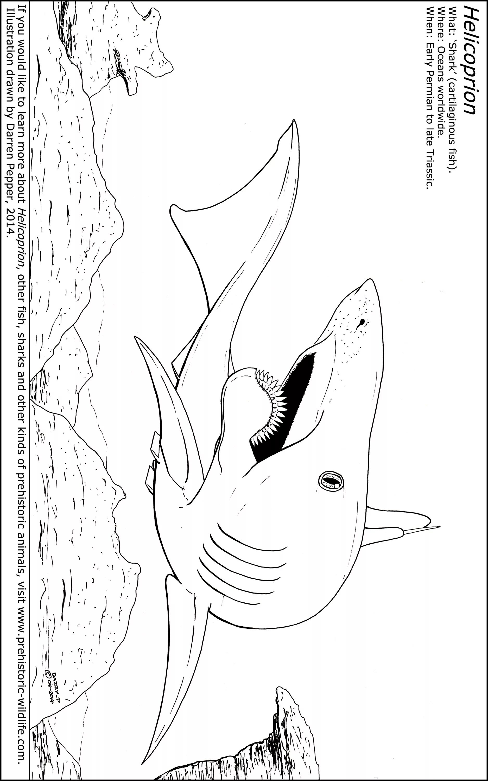 Animated helicoprion coloring page