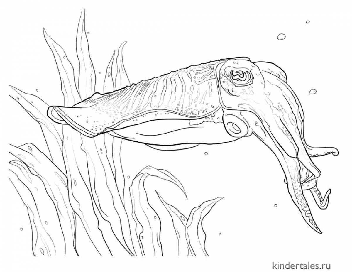 Colorful cuttlefish coloring page