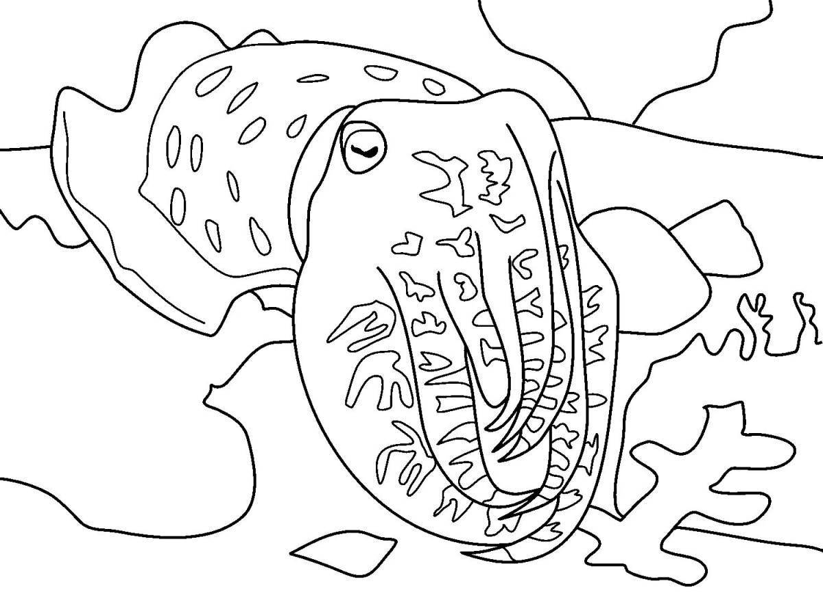 Coloring playful cuttlefish