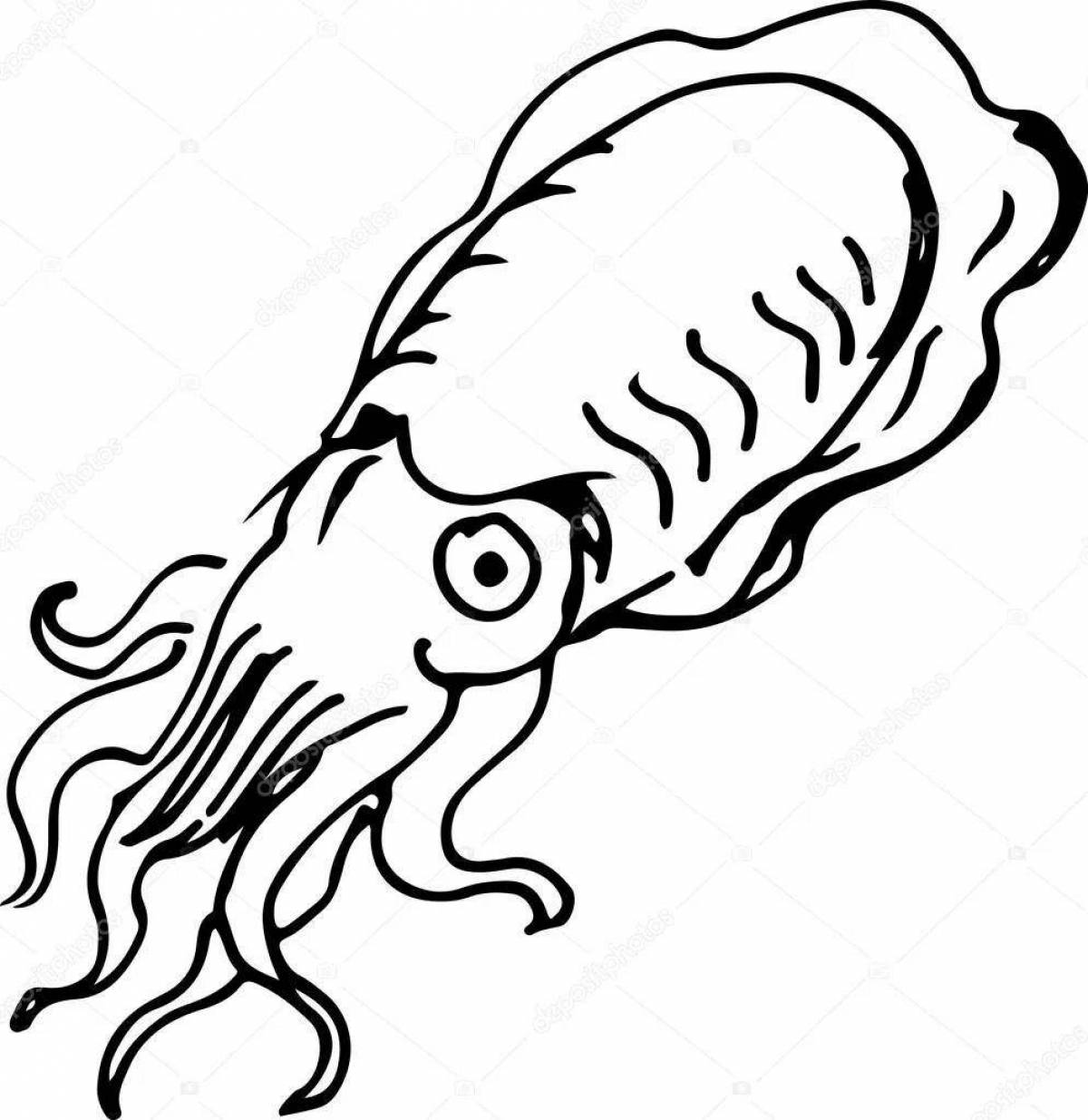 Attractive cuttlefish coloring page