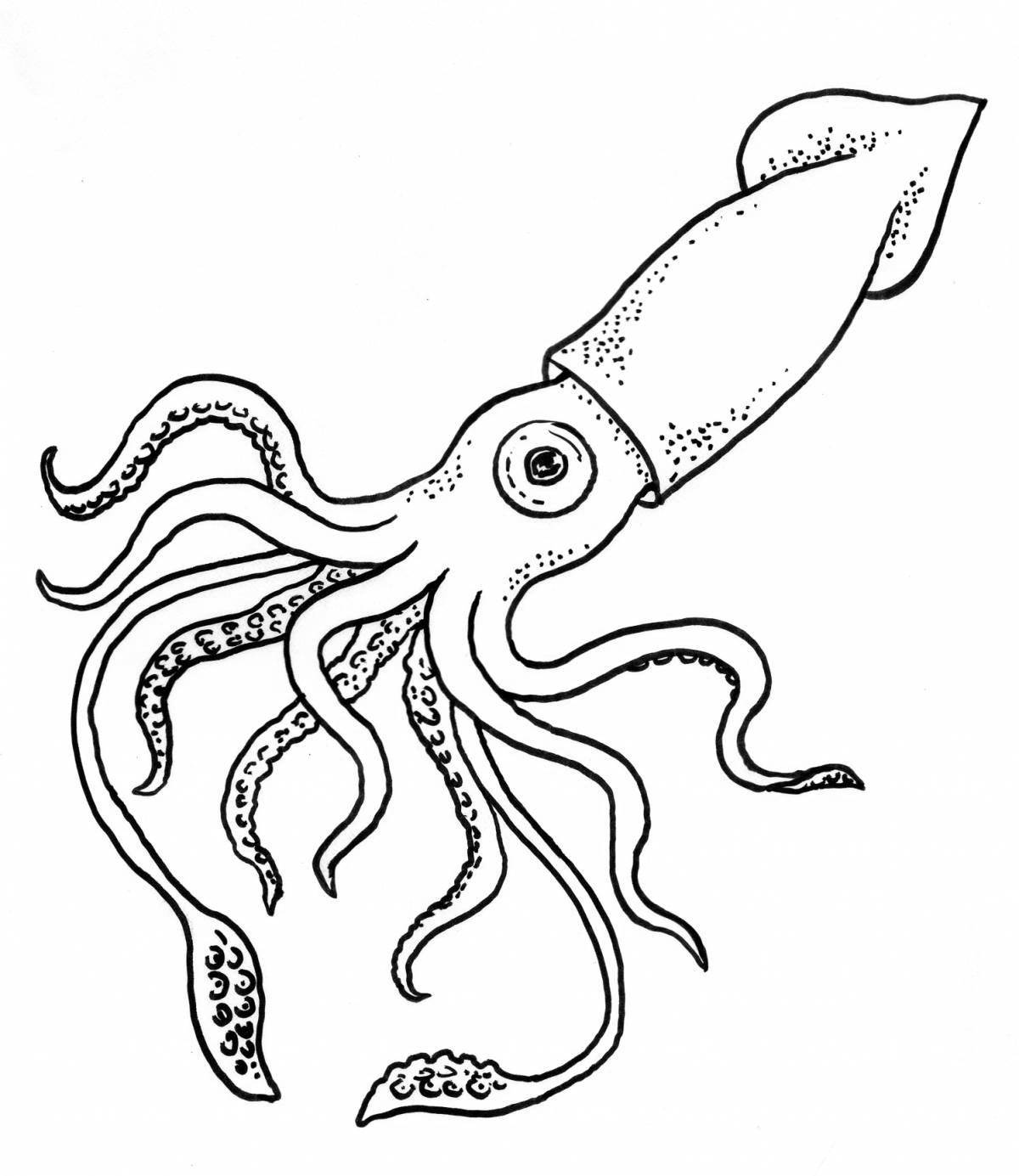 Cuttlefish coloring page