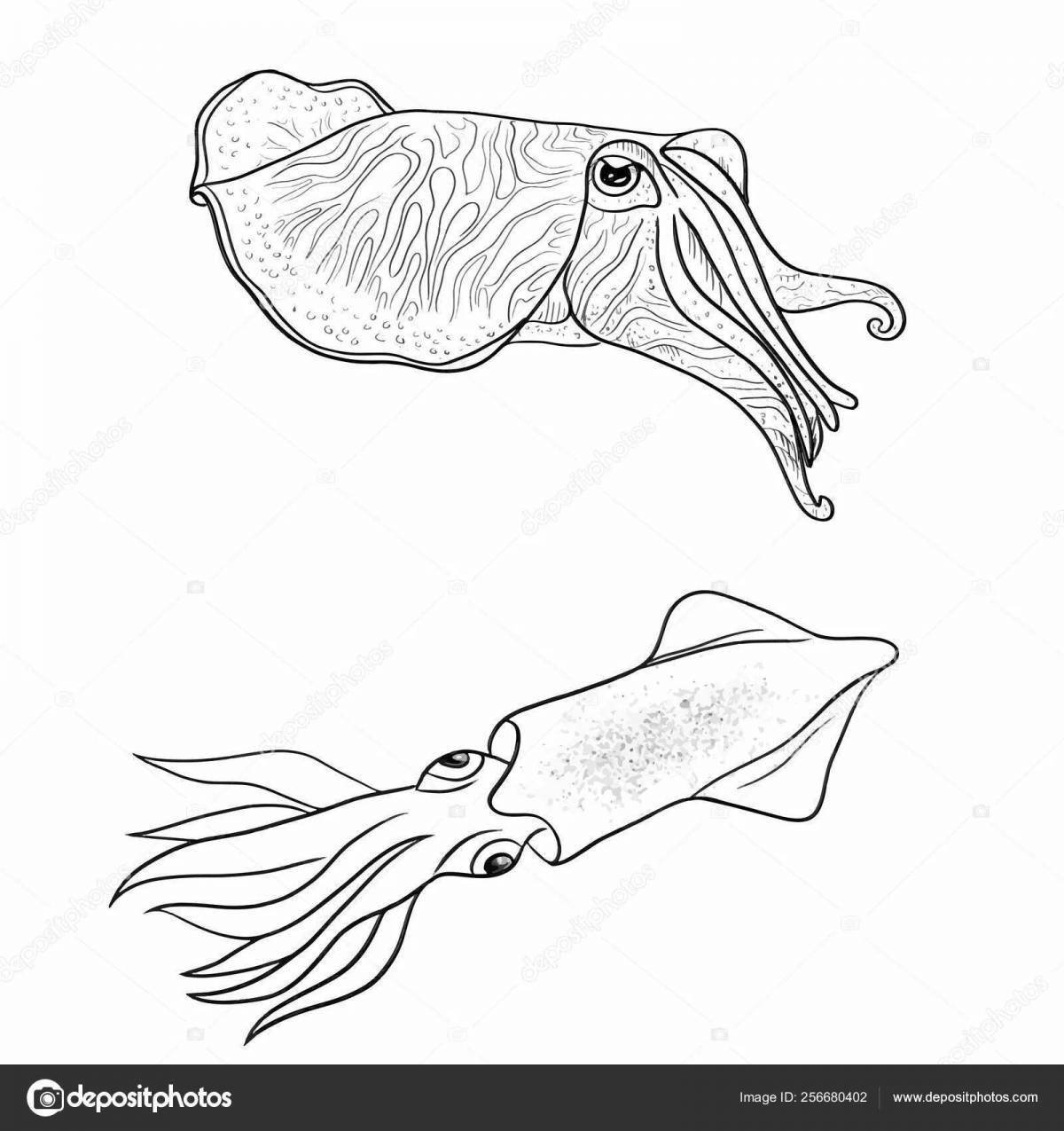 Coloring book magic cuttlefish