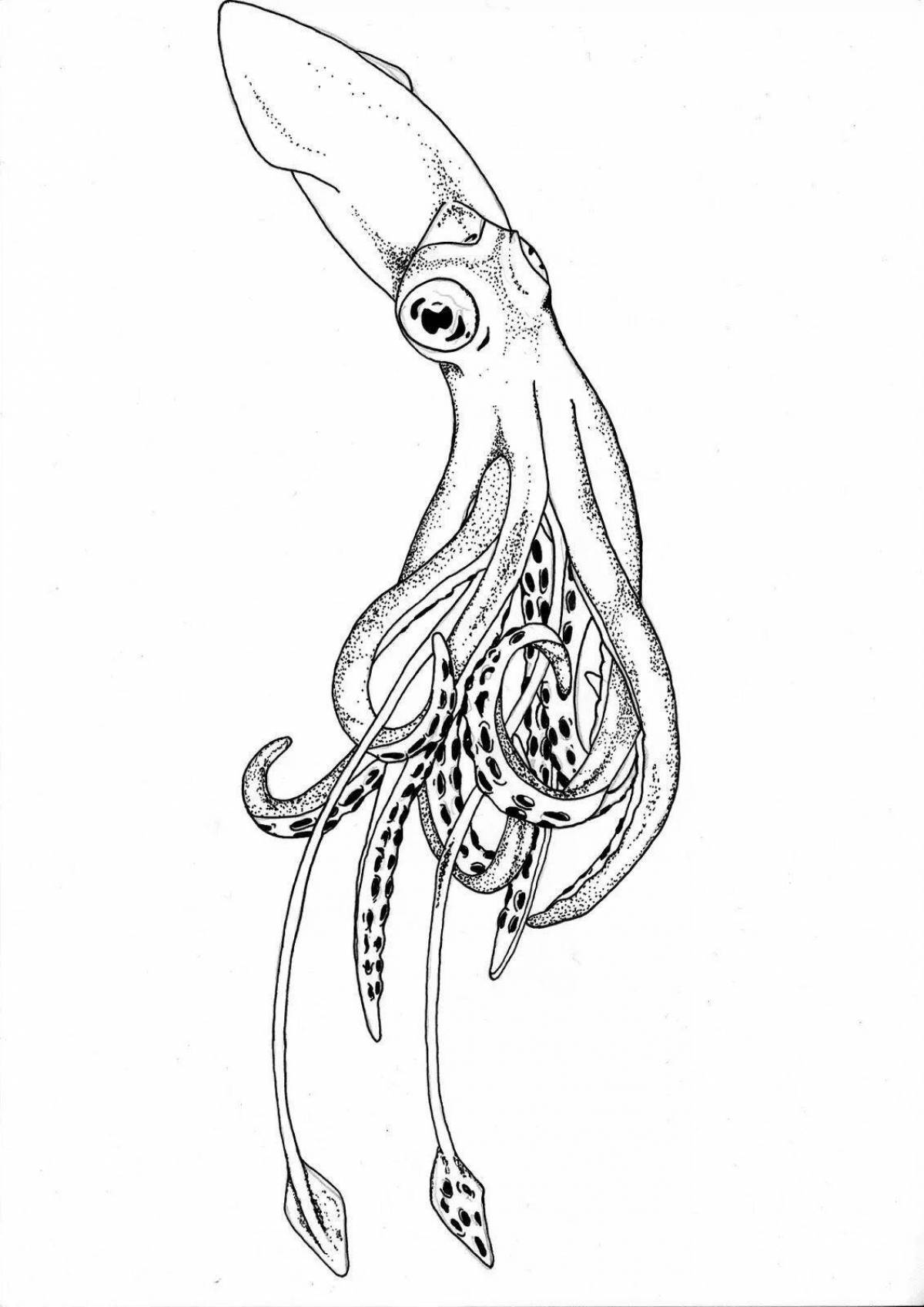 Charming cuttlefish coloring book