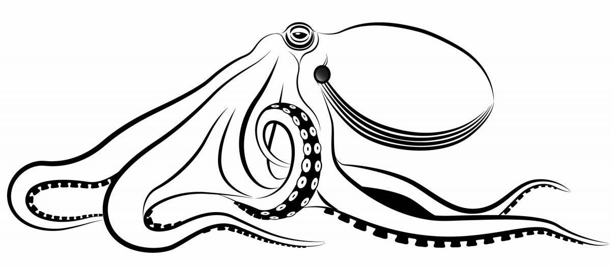 Cuttlefish coloring page