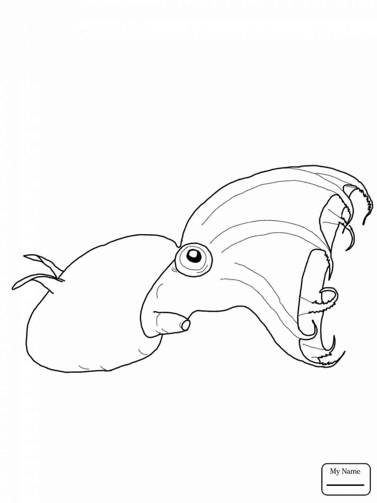 Coloring book gorgeous cuttlefish