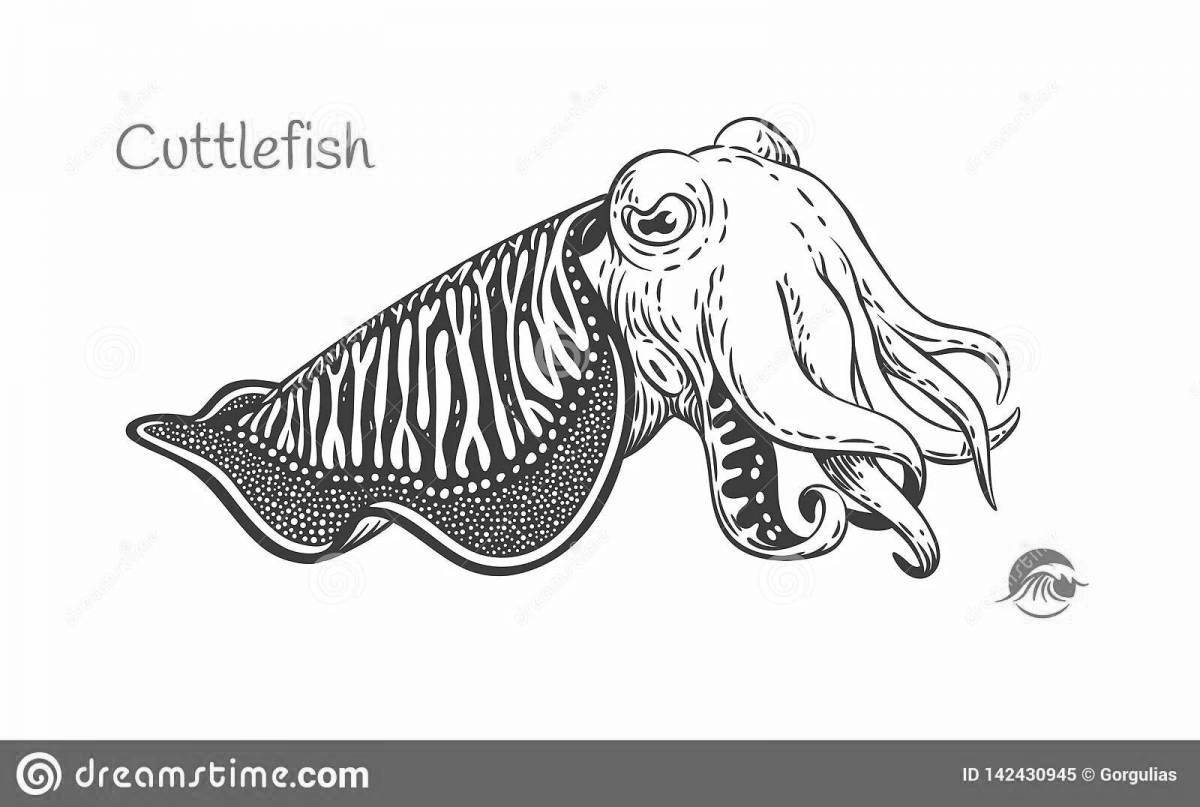Exquisite cuttlefish coloring book