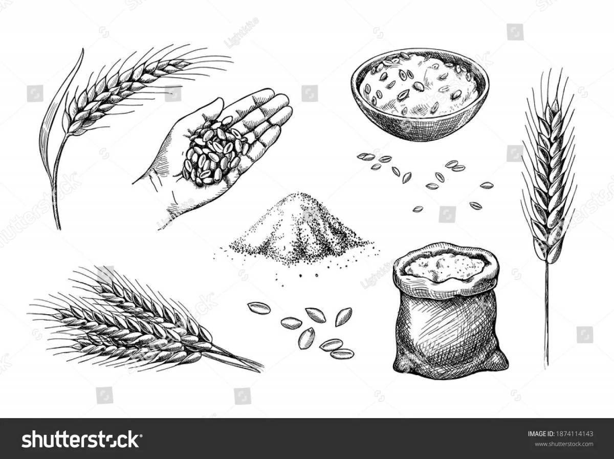 Grain #6