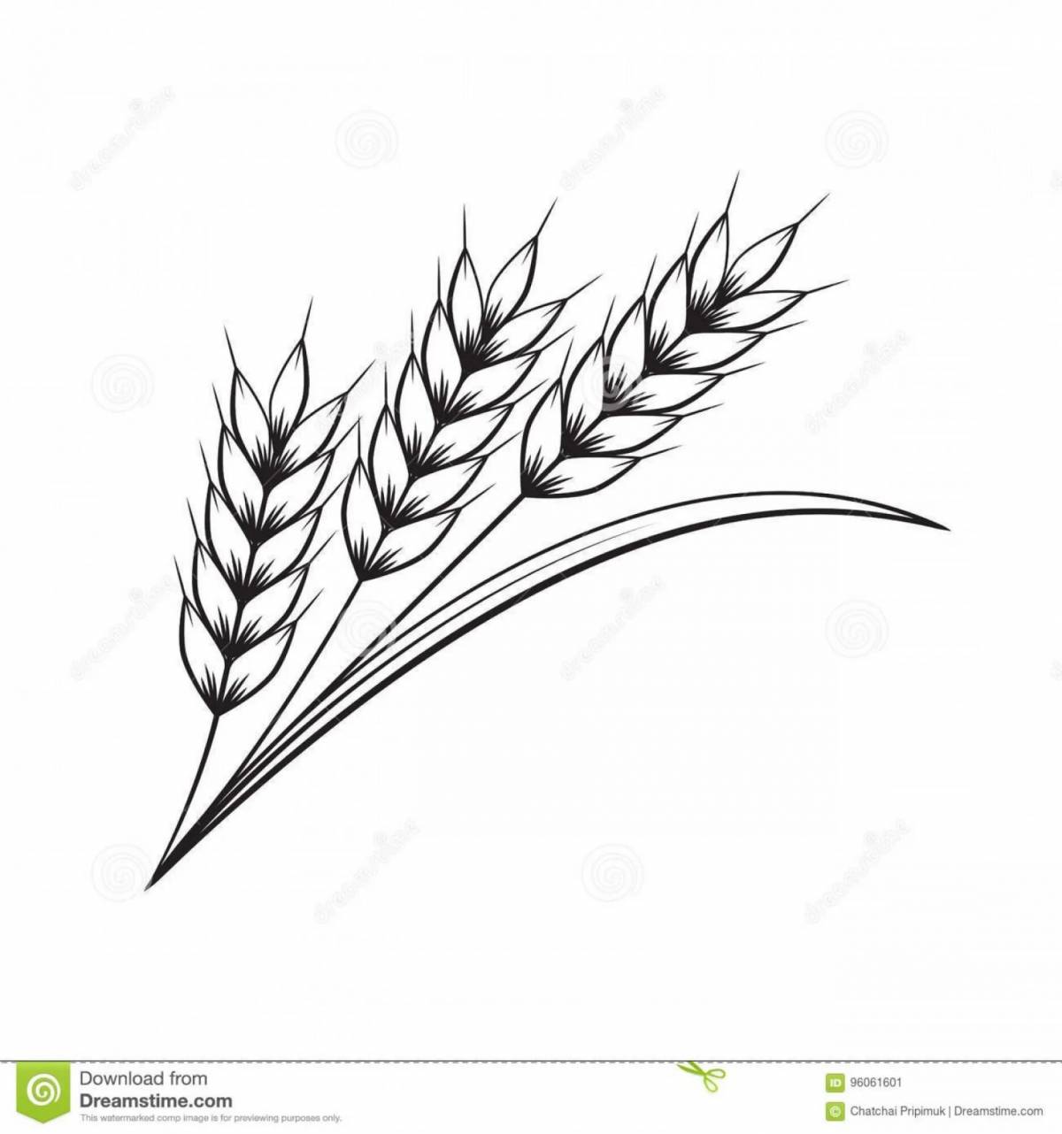 Grain #17