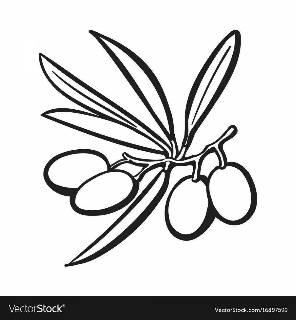 Charming olives coloring pages
