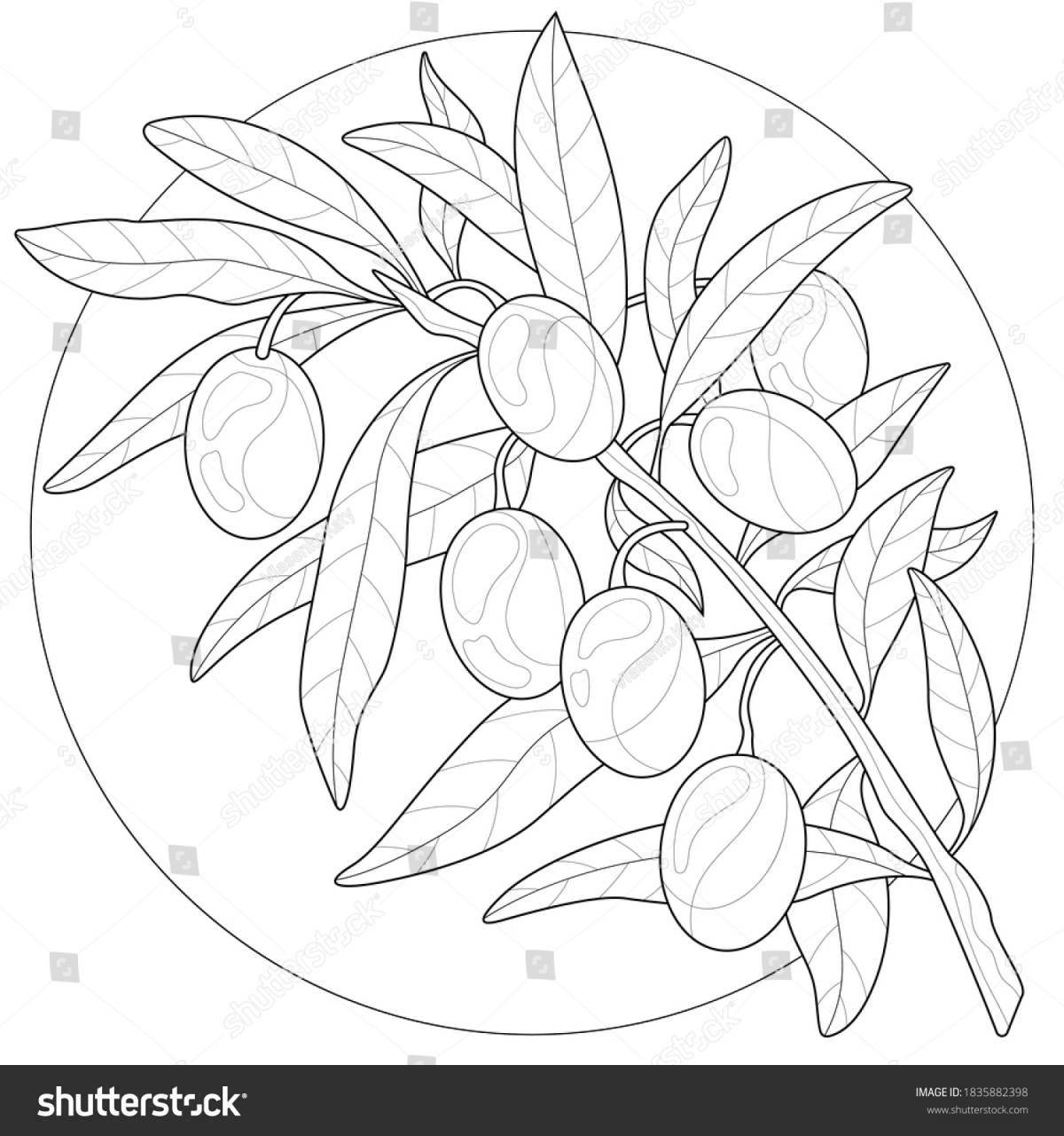 Soothing coloring of olives